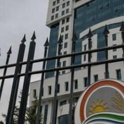 Nesli tükenme tehlikesi altında olan turnalara Bakanlıktan sıkı takip