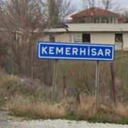 Niğde'de kuduz şoku! Bir belde karantinaya alındı