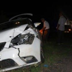 Otomobil domuza &ccedil;arptı 4 yaralı