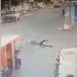 Şanlıurfa'da köpek dehşeti! Araba gibi çarptılar