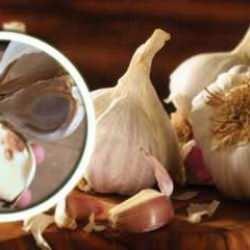 Sarımsak saklama: Lezzeti ve tazeliği korumanın en iyi yolları