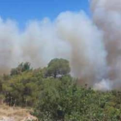 Soma'daki orman yangını ile ilgili kritik gelişme