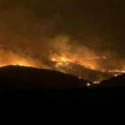 Mardin'de yangına elektrik hattının sebep olduğu ortaya &ccedil;ıktı