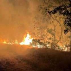 Adıyaman'da yangın