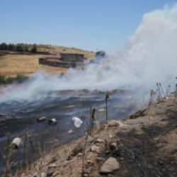 Ayvalık'ta yangın! Alevler kontrol altına alındı