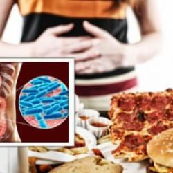 Bağırsak mikrobiyomundaki bakterilerin aşırı yeme ve obezite riski üzerindeki etkisi