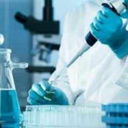 Bilim adamları açıkladı: Fareler artık daha iyi duyabilecek!