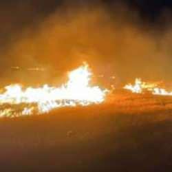 15 kişinin öldüğü anız yangınında büyük çelişki! Çarpıcı uydu görüntüleri paylaşıldı 