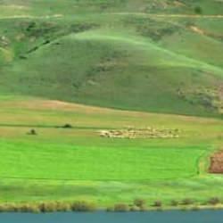 “Erzurum'da süt ürünleri üretimi gelişime açık”