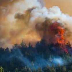 İzmir&rsquo;in bir&ccedil;ok il&ccedil;esinde yangın! Alevler b&uuml;y&uuml;d&uuml;