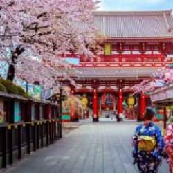 Japonya 2023'te verdiği vize sayısını bir önceki yıla kıyasla üçe katladı