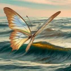 Kelebek olduğuna bakmayın! İmkansız denileni başardı...