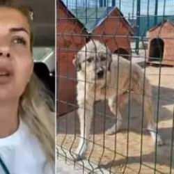 Buket Özgünlü'nün duruşmasında muhabire çirkin tehdit: Bunu geçen dövdük, akıllanmadı