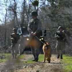 MSB duyurdu: Yunanistan sınırında 5'i FETÖ üyesi, 7 kişi yakalandı
