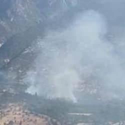 MSB'den orman yangını açıklaması! 'PKK'lı teröristler gizlenmeye çalışıyor'