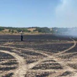 Tekirdağ'da anız yangını! 50 d&ouml;n&uuml;m ekili buğday k&uuml;le d&ouml;nd&uuml;