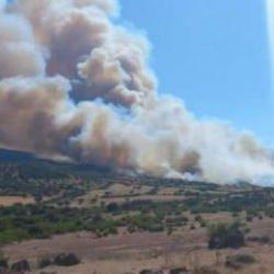 T&uuml;rkiye'nin yangın risk haritası g&uuml;ncellendi! İşte en tehlikeli b&ouml;lgeler 