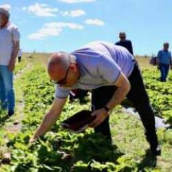 'Yetişmez' denilen yerde 400 tonluk üretim! 16 milyon lira kazandı