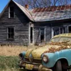 Zorlu görsel bulmacada gizlenmiş tilkiyi bulma mücadelesi!