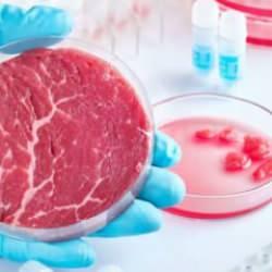 ABD’de Florida yapay eti yasaklayan ilk eyalet oldu