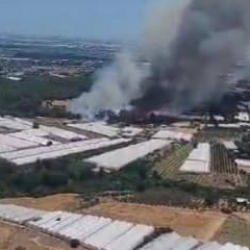 Antalya'da orman yangını