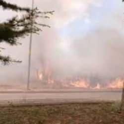 Bursa'da 20 d&ouml;n&uuml;m ekili buğday yandı