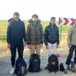 Edirne'de 11 kaçak göçmen yakalandı