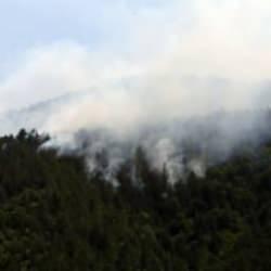 Kastamonu'da orman yangını: M&uuml;dahale devam ediyor!