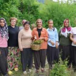 Bu 'doktor' bambaşka! Köylüler şifalı olarak anıyor