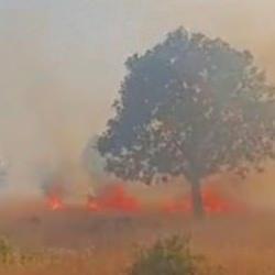 Mardin&rsquo;de 5 ayrı noktada &ccedil;ıkan yangın devam ediyor