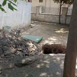 Şehitlikte hayrete düşüren anlar! Gündüz vakti hiç çekinmeden yaptı...