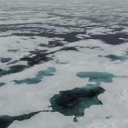 Türk bilim insanı ekibiyle Kuzey Kutup Bölgesi'nde tahrip olan arazileri onaracak