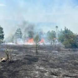 25 dönümlük tarım arazisi yangında zarar gördü