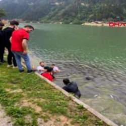 Arap turistler golf arabasıyla suya düştü