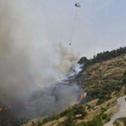 Balıkesir'de orman yangını: Müdahale devam ediyor