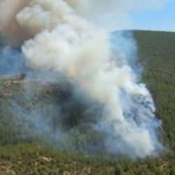 Bodrum'da orman yangını &ccedil;ıktı! M&uuml;dahale ediliyor!
