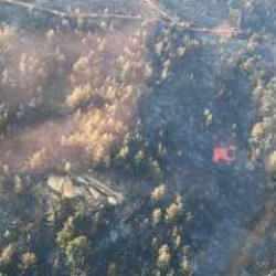 Bodrum'daki orman yangını 18 saat sonra kontrol altında