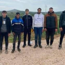 Edirne’de 8 kaçak göçmen yakalandı
