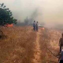 Edirne'de orman yangını