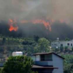Hatay'da orman yangını! Alevlere m&uuml;dahale ediliyor