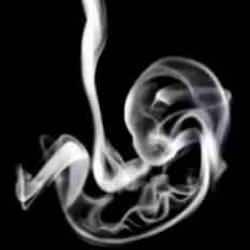 İlk izleniminiz nedir? Duman mı, fetüs mü? Kendi içsel dünyanızı keşfedin!