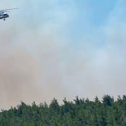 İzmir'deki orman yangını kontrol altına alındı