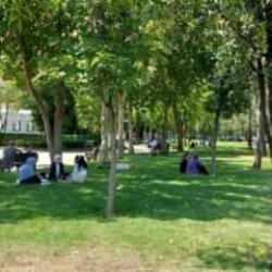 KPSS'den çıktı, dinlendiği ağacın altında yorgun mermiyle vuruldu!