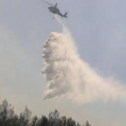 Muğla'da orman yangını! Ekipler seferber oldu