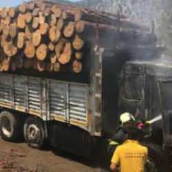 Orman deposundaki tomruk yüklü kamyonda çıkan yangın söndürüldü
