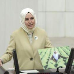 Zeynep Yıldız: O g&uuml;n Aliya'nın arslanları bug&uuml;n de Gazze'nin m&uuml;cahitleri direniyor