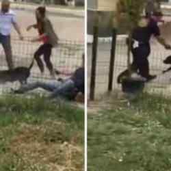 Sosyal medyada yine gündem oldu: Köpek saldırdı, kadın "vurma" diye bağırdı