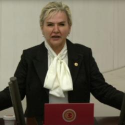 Köpek terörüne destek veren İYİ Parti'li vekilden yurt dışında skandal adım