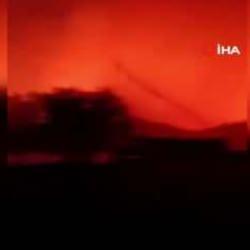 Ayvalık'ta orman yangını başladı!