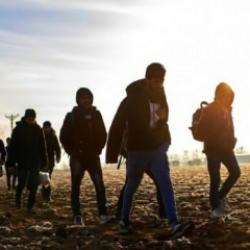 Edirne'de 17 düzensiz göçmen yakalandı